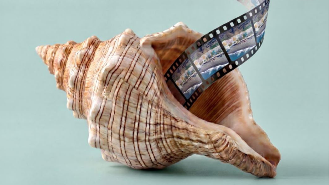 Cortonaos Film Festival La Palma abre la convocatoria de su segunda edición